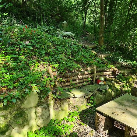 Auszeitoase Am Wald Und Bach Apartment Kradolf-Schonenberg Exterior photo