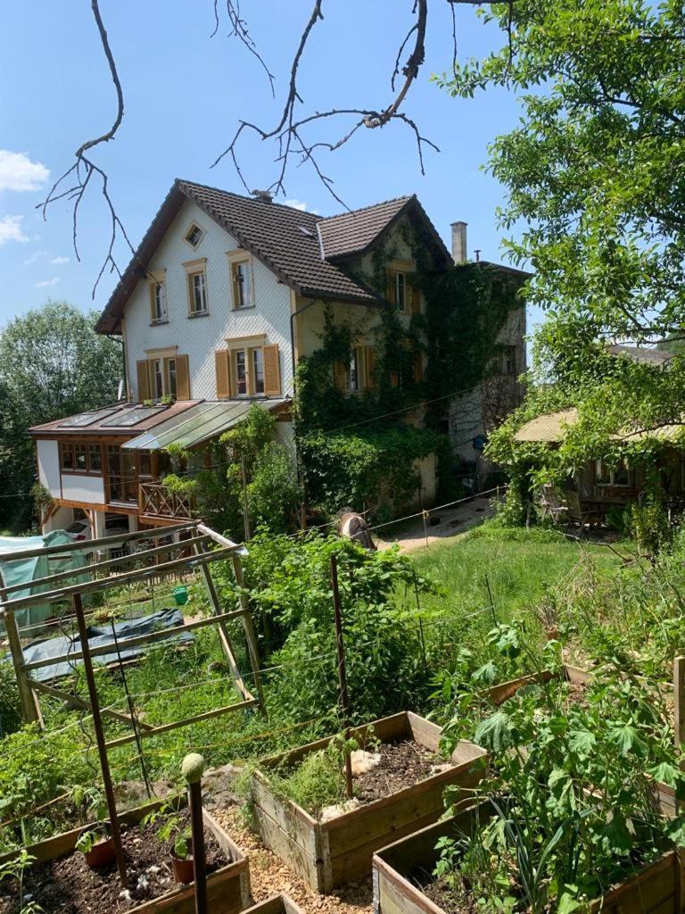 Auszeitoase Am Wald Und Bach Apartment Kradolf-Schonenberg Exterior photo