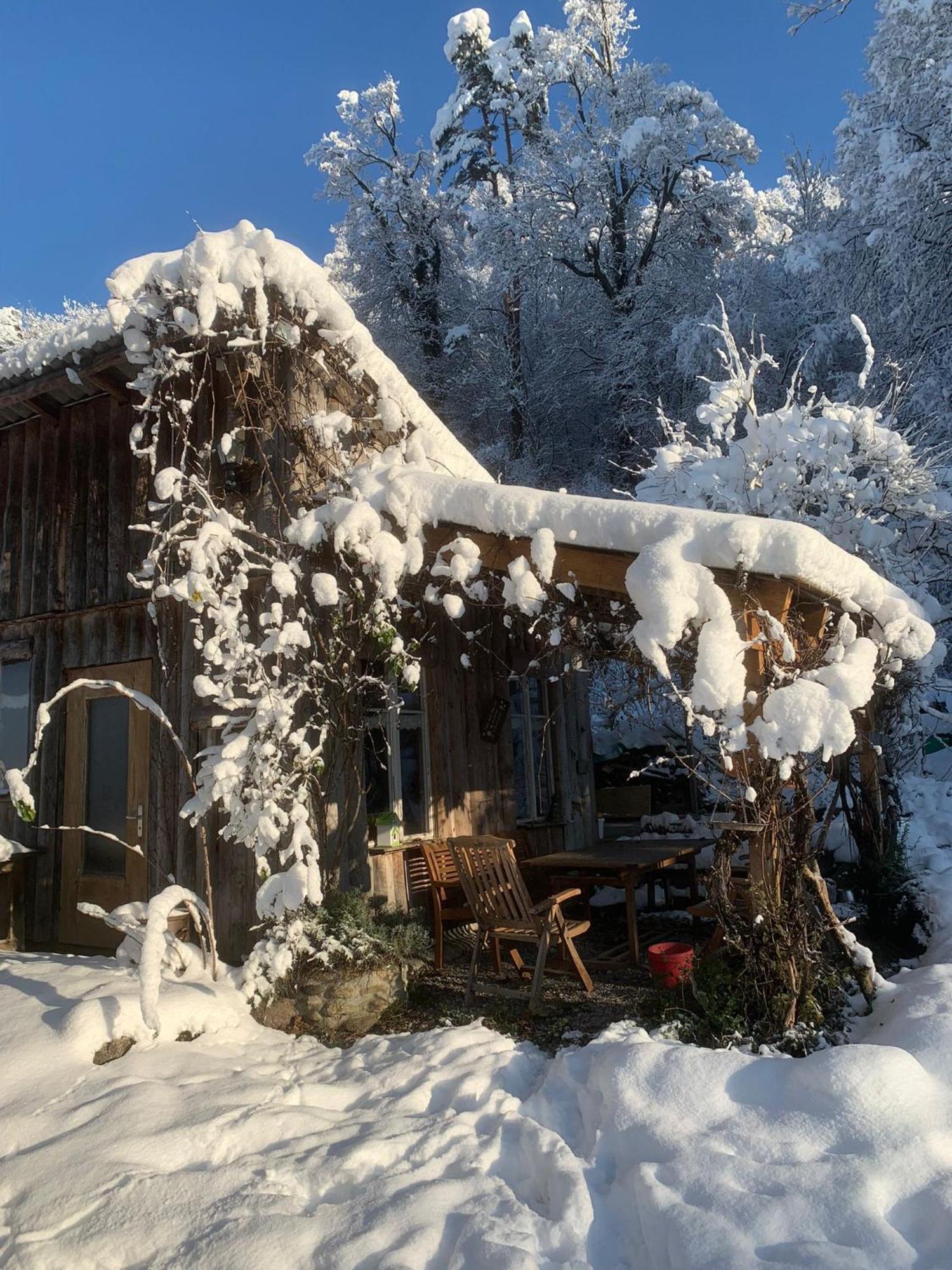 Auszeitoase Am Wald Und Bach Apartment Kradolf-Schonenberg Exterior photo