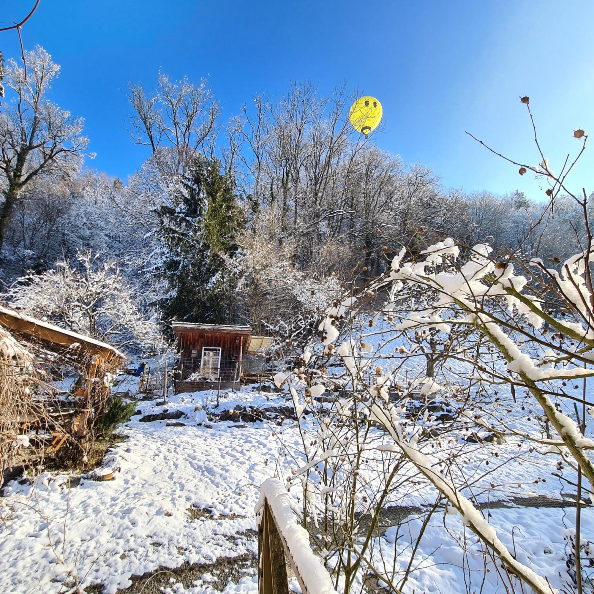 Auszeitoase Am Wald Und Bach Apartment Kradolf-Schonenberg Exterior photo